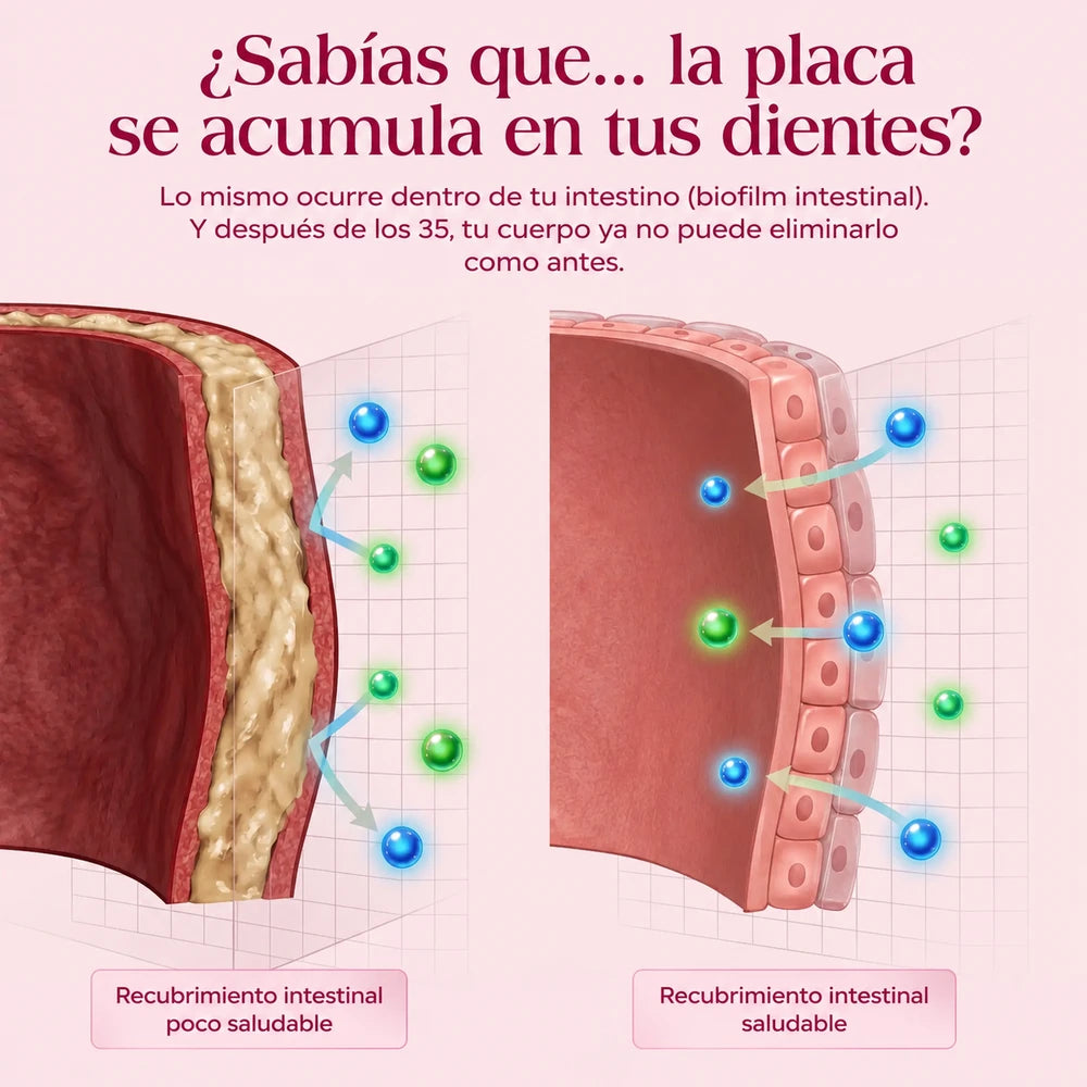 Ritual Nuora™ para la biopelícula intestinal
